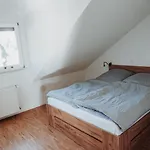 Kibo Kupferberg Kirchheimbolanden
